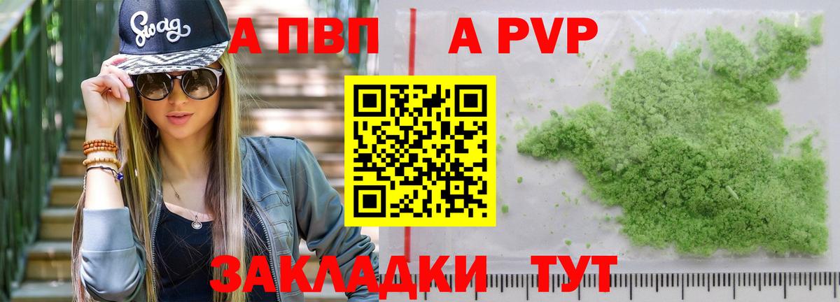 A PVP СК КРИС Гай
