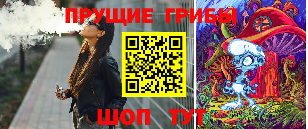 Псилоцибиновые грибы Psilocybine cubensis Гай