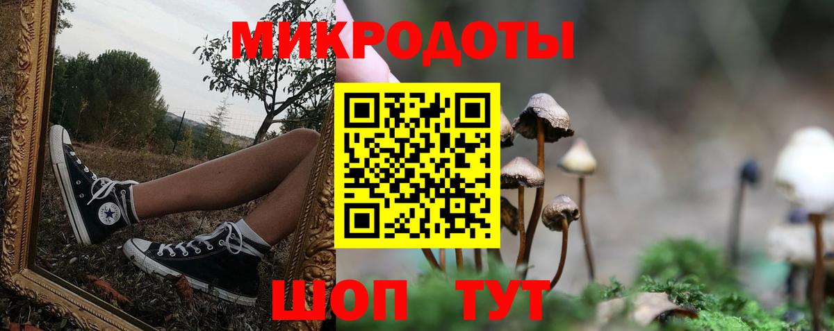 Псилоцибиновые грибы прущие грибы  Вход с VPN  Гай  Псилоцибиновые грибы Cubensis 